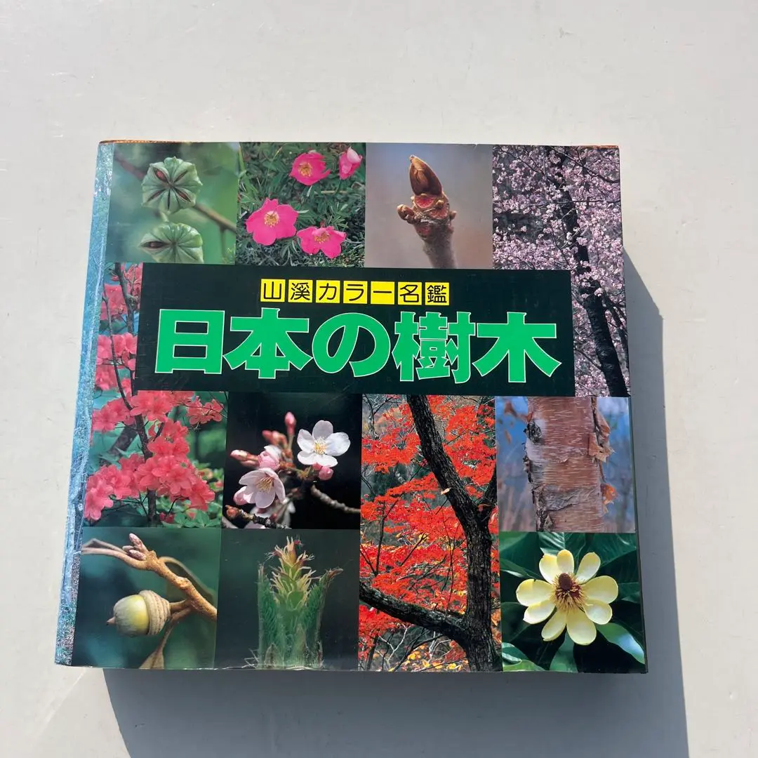 Amazon.co.jp: 増補改訂新版 日本の樹木 (山溪カラー名鑑) : 編