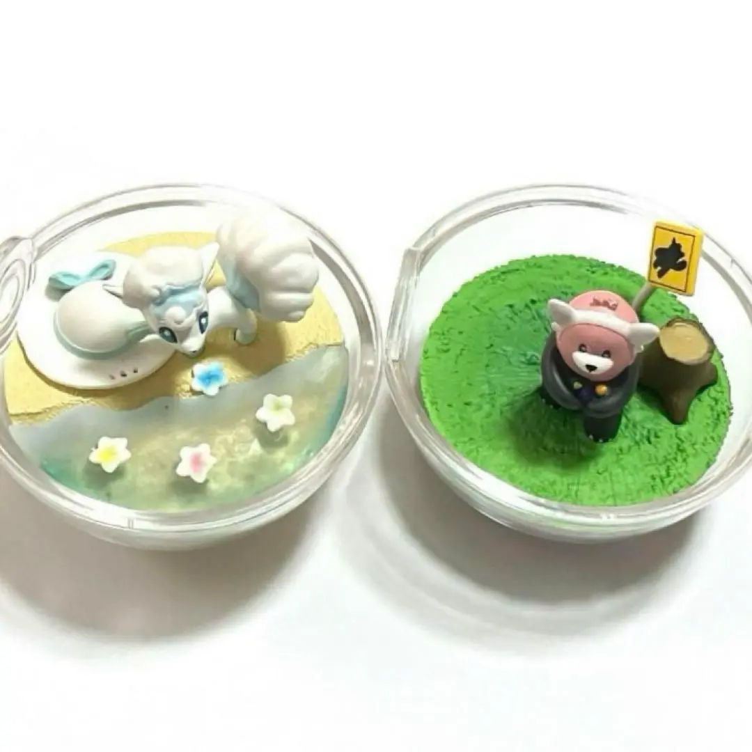 2025年最新】ポケットモンスター サン&ムーン テラリウム