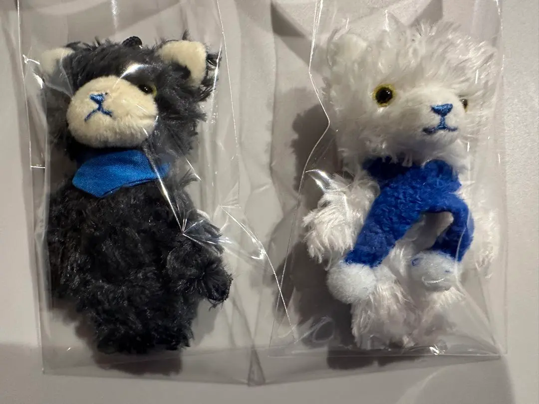 GOODS｜SPRING HAS COME｜PRINCE CAT