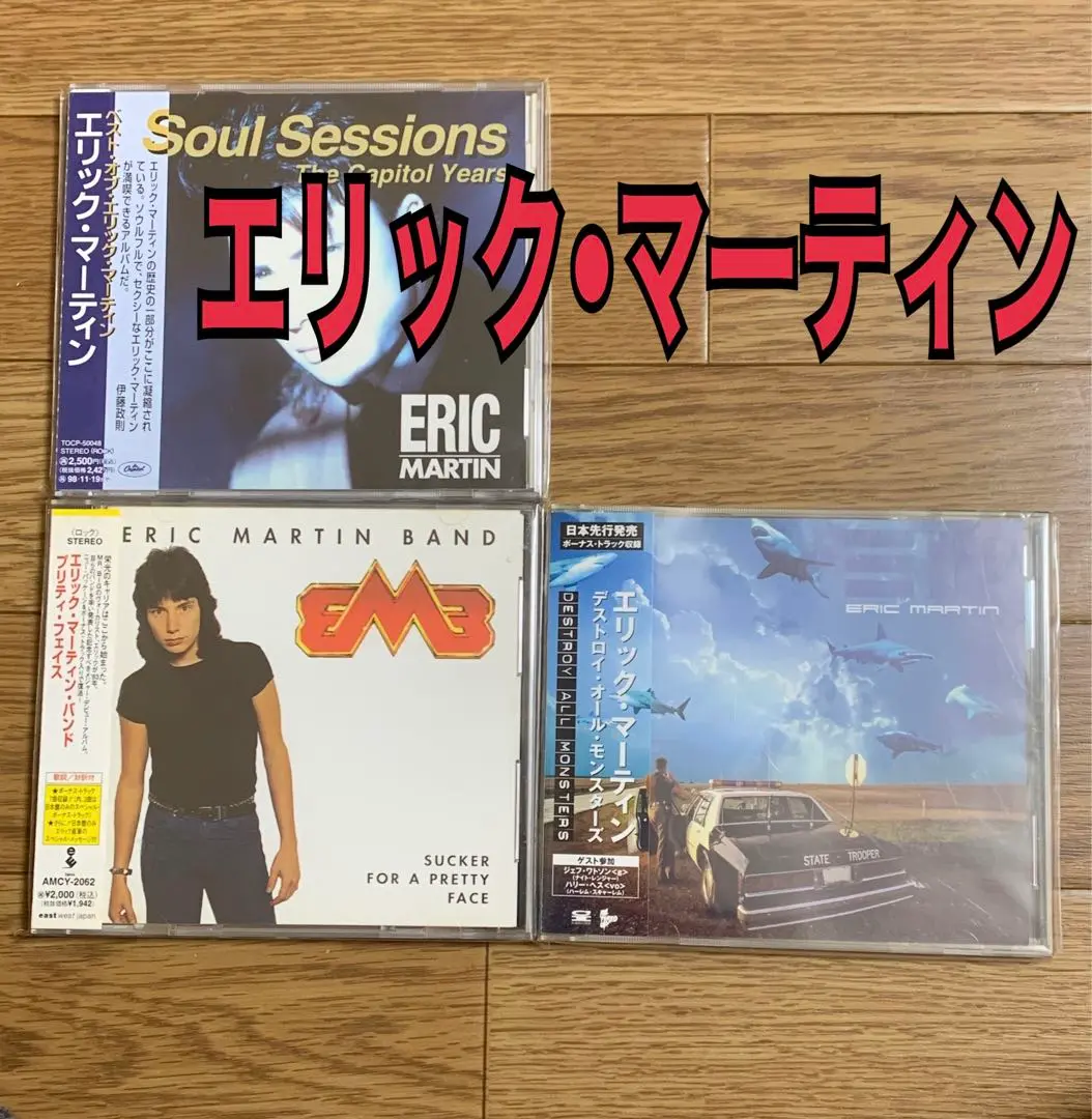 ERIC MARTIN BAND「プリティ・フェイス」レコード 帯付 中古 ERIC MARTIN BAND「プリティ・フェイス」レコード 帯付 中古