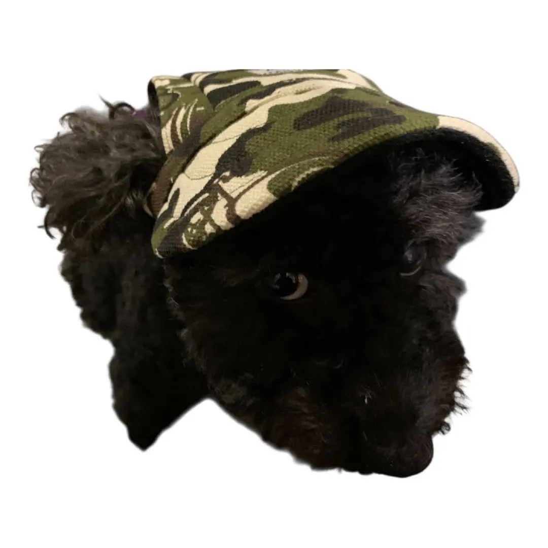 寵物用 帽子 L 尺寸 的縮圖