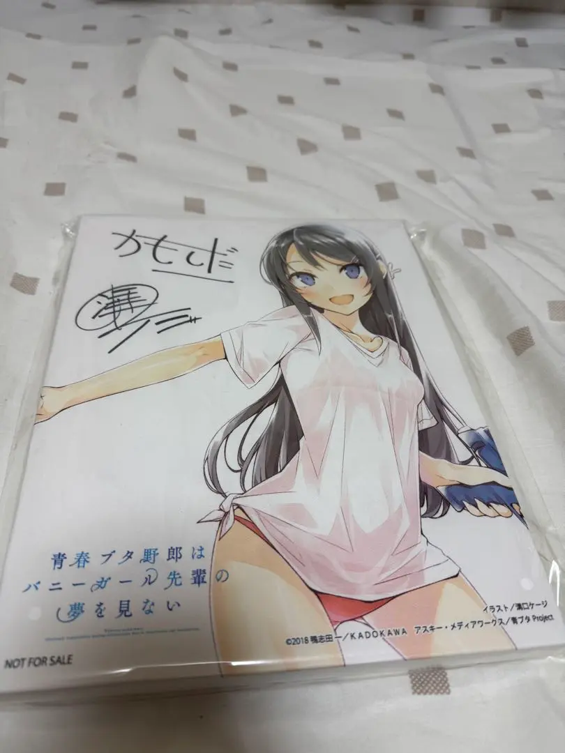 青ブタ　コミケ　溝口ケージ　直筆サイン Amazon.co.jp: 青ブタ 鴨志田一 溝口ケージ 直筆サイン入り色紙