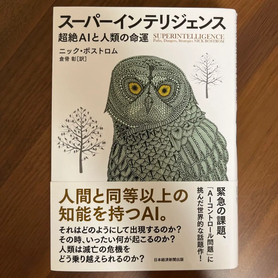 【美品・送料無料】スーパーインテリジェンス 超絶AIと人類の命運 Superintelligence : Paths, Dangers, Strategies / Bostrom