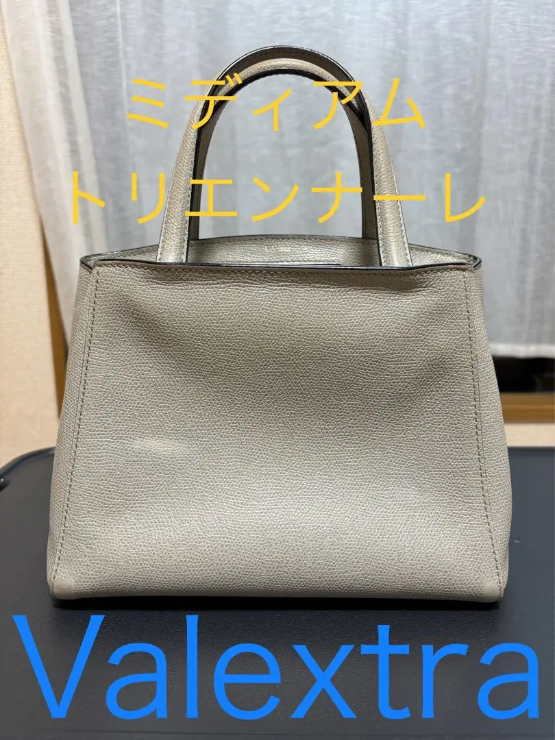 はちこん様　ヴァレクストラ　トリエンナーレ　スモール　2wayショルダーバッグ はちこん様 ヴァレクストラ トリエンナーレ スモール 2way