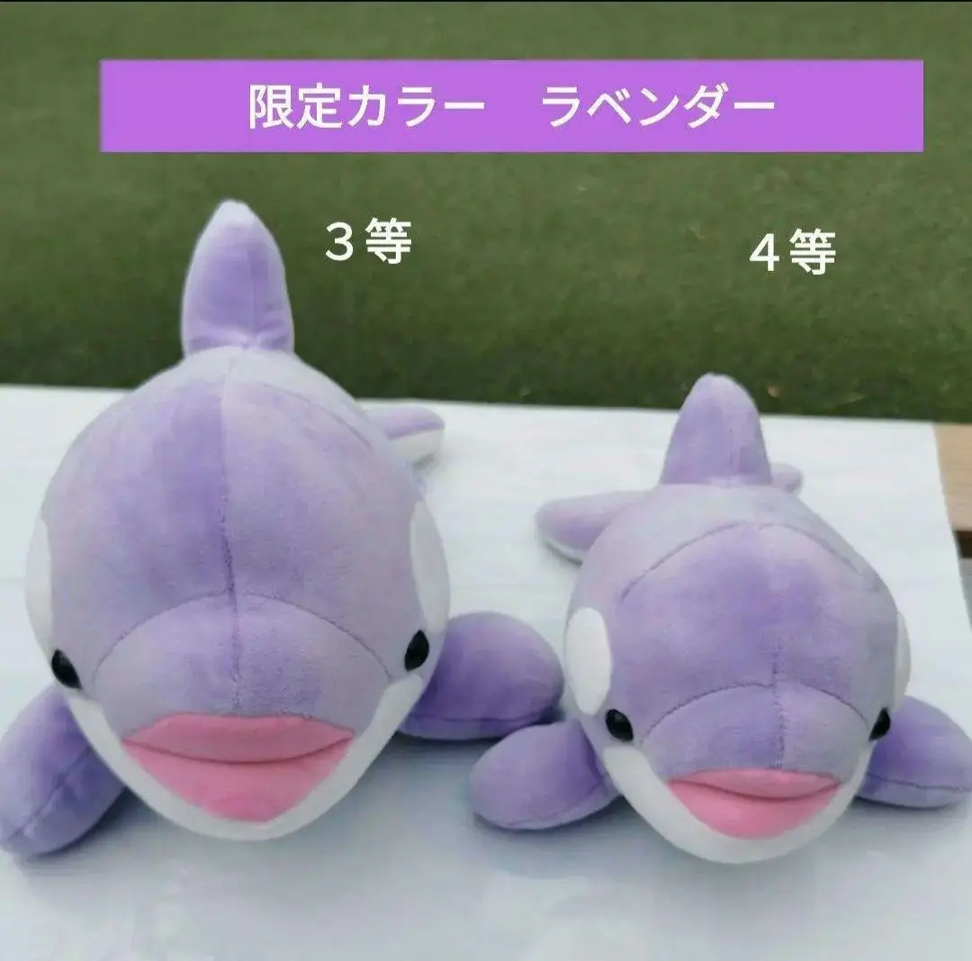【最終値引き！！】 須磨シーワールド オルカくじ ラベンダー 234等セット 神戸須磨シーワールド on X: 