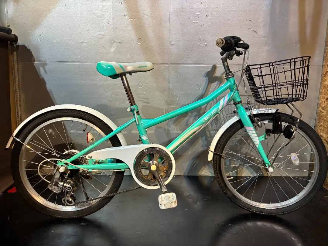 ミントグリーン 20インチ自転車 大阪市引き取り限定 楽天市場】Tern ターン Link A7 リンク 折りたたみ自転車 2025年