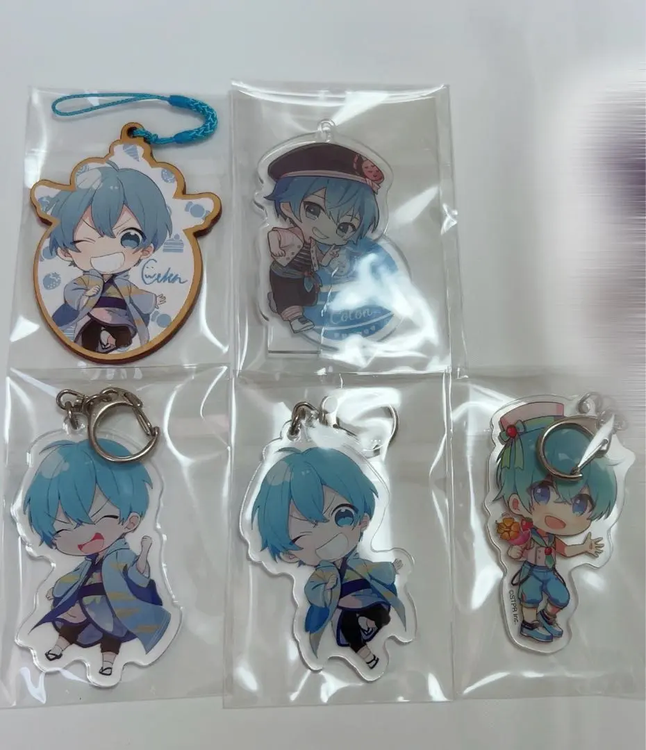 Thumbnail of StPri Colon Acrylic Keychains