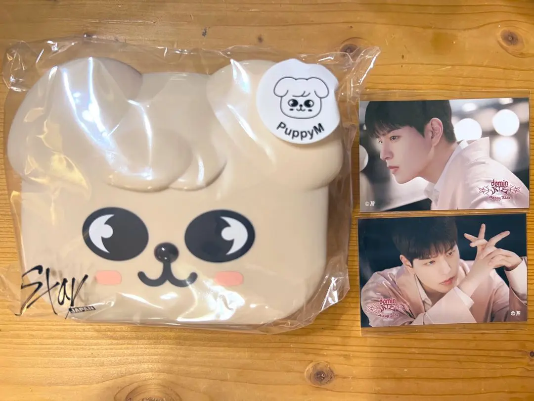 Stray Kids FC 線上抽獎 D 賞 E 賞 昇玟 的縮圖