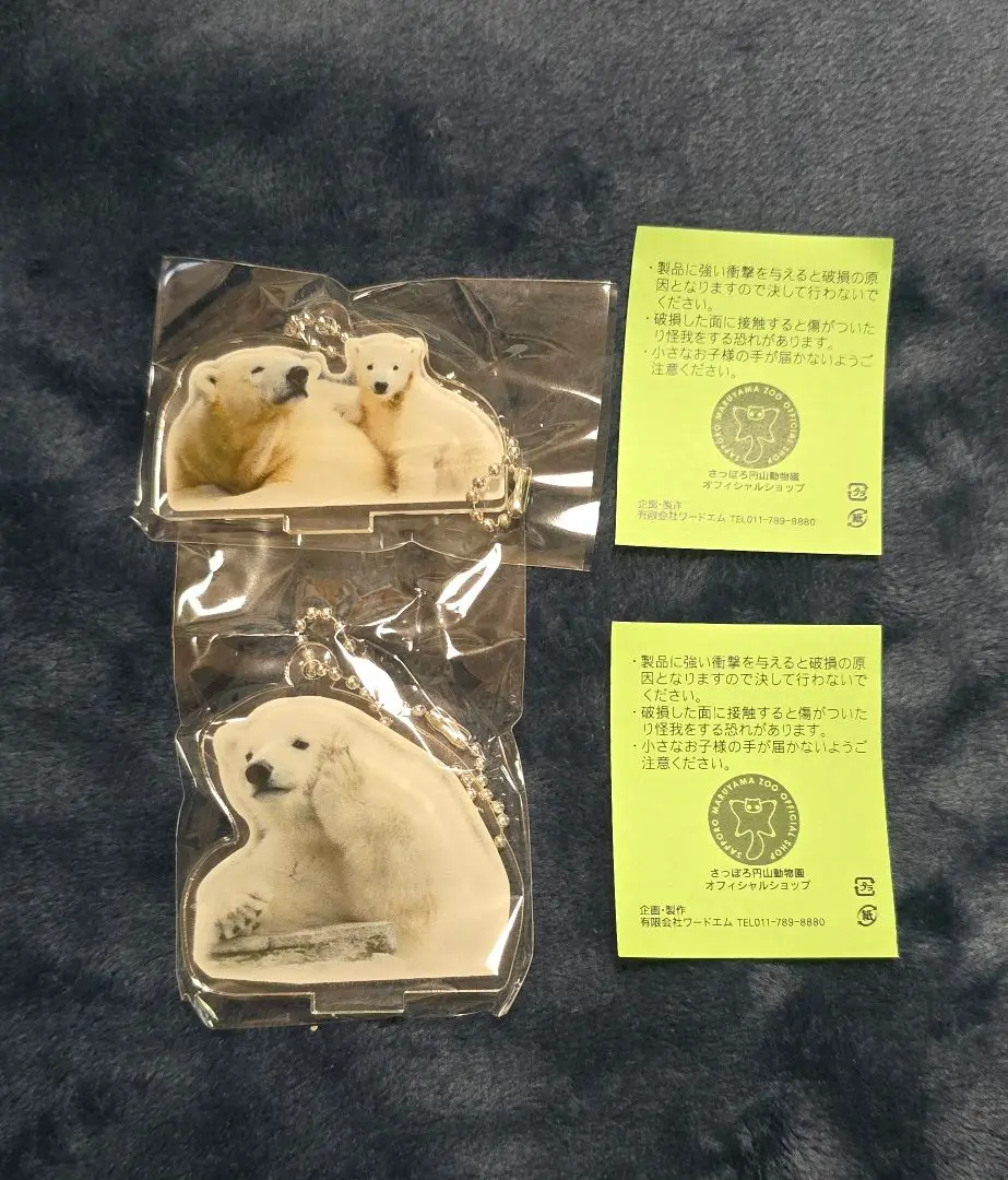 円山動物園 ガチャ 木製キーホルダー ホッキョクグマ ララファミリー 5点セット 円山動物園 ガチャ 木製キーホルダー ホッキョクグマ ララ