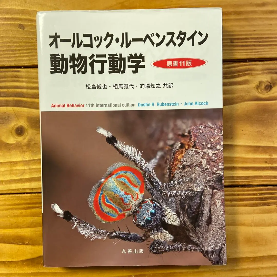 オールコック・ルーベンスタイン動物行動学 原書11版 概要)オールコック・ルーベンスタイン 動物行動学 原書11版