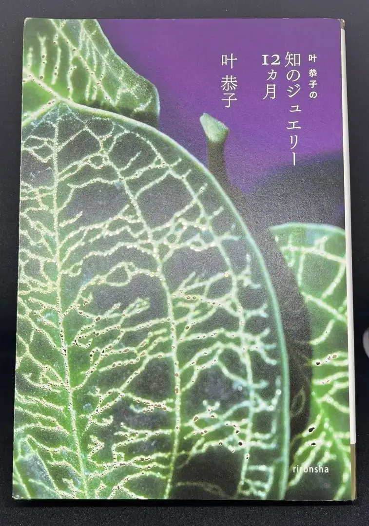 叶恭子の知のジュエリ－１２カ月 初版 Amazon.co.jp: 叶恭子の知のジュエリー12ヶ月 (よりみちパン! セ