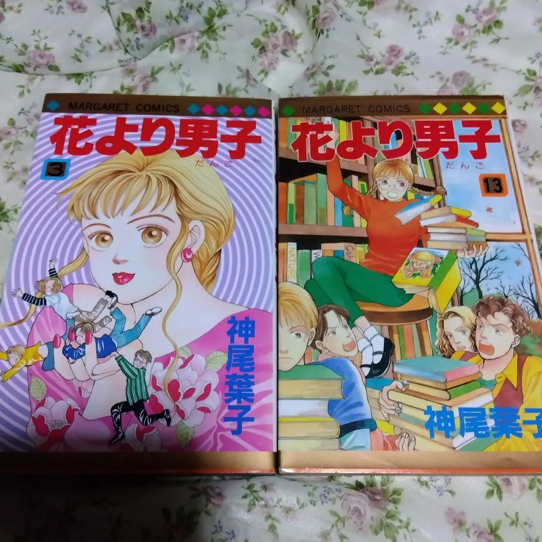 流星花園 3卷 13卷 的縮圖