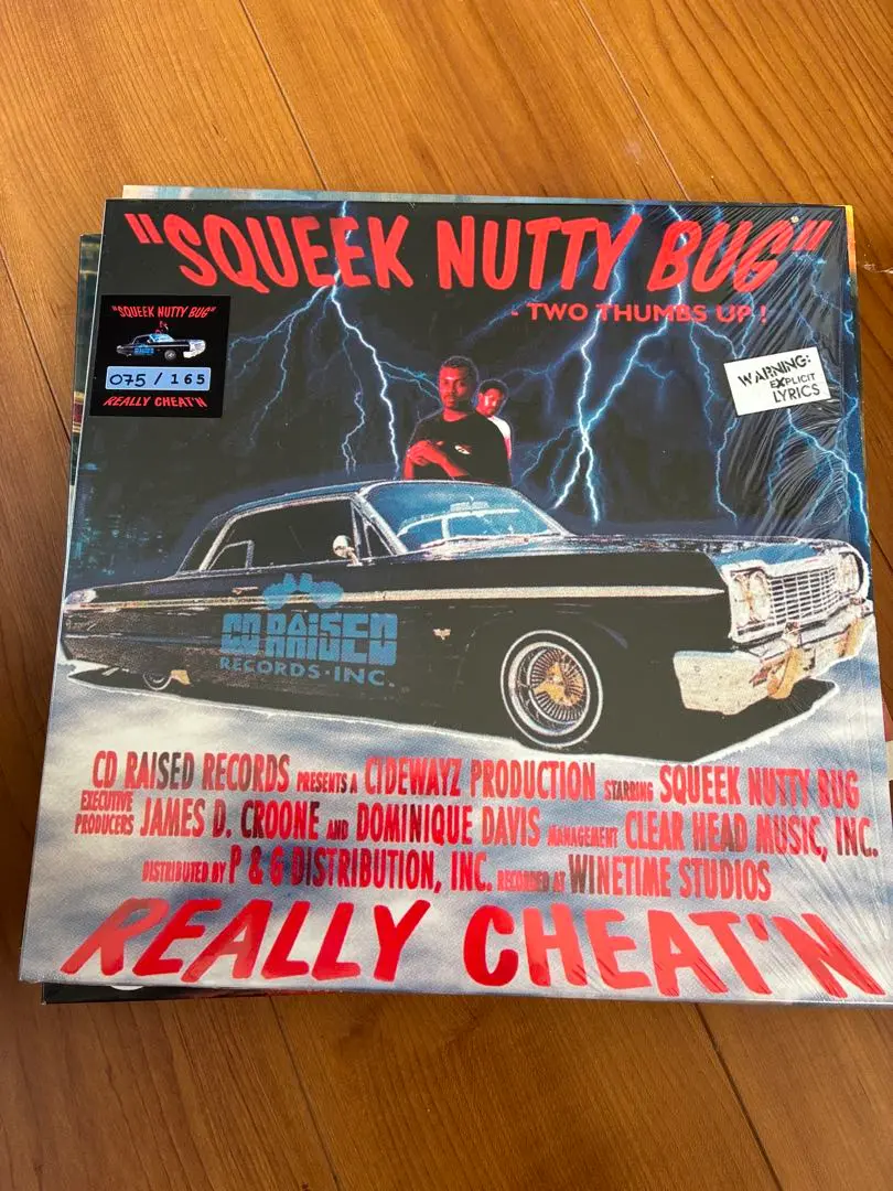 SQUEEK NUTTY BUG レコード SQUEEK NUTTY BUG商品一覧｜HIPHOP / 日本語RAP｜ディスク