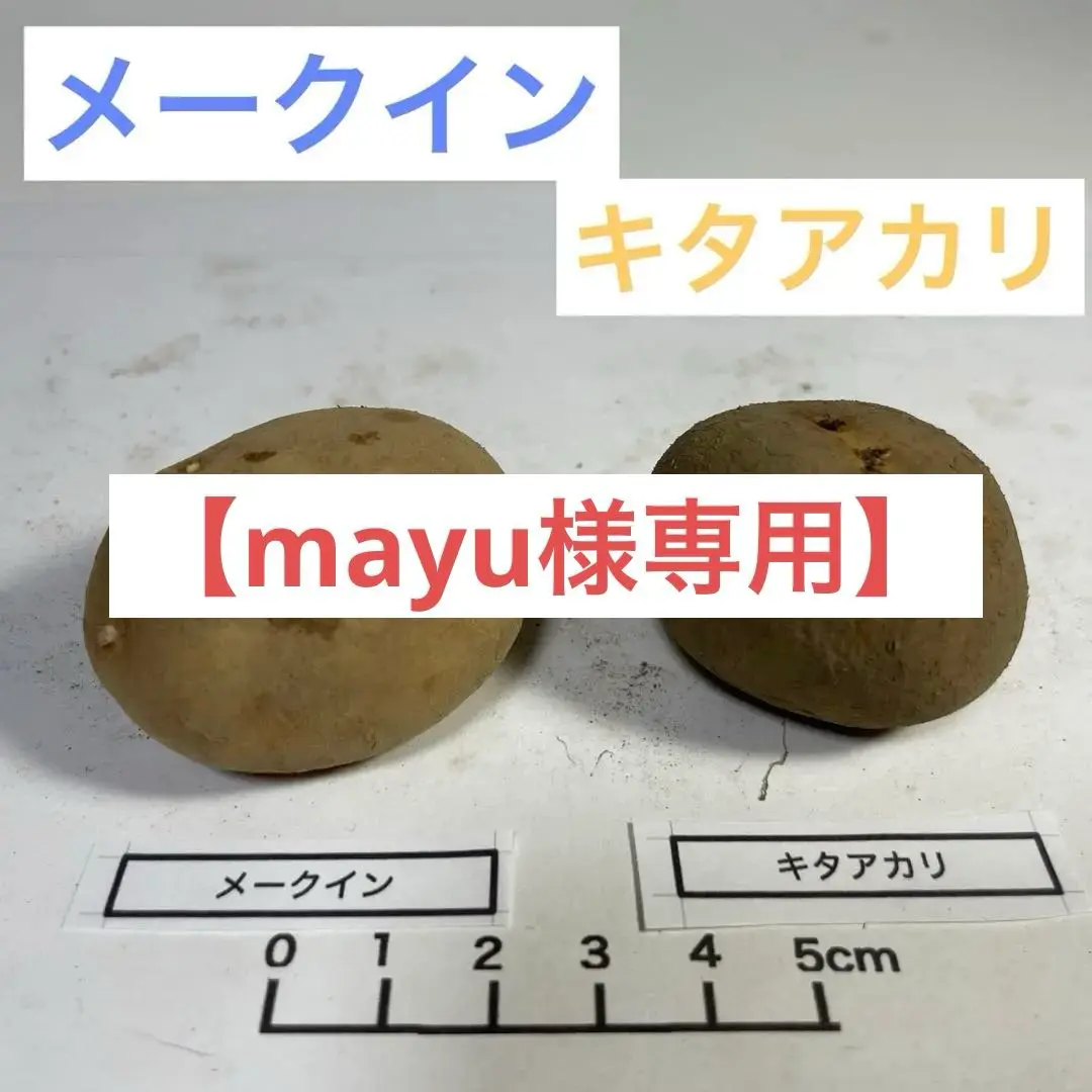 ちっちゃん様　新品未使用　正絹袷　栗繭紬単品 紬袷 正絹|リサイクル着物 絹 絣柄 藍色 花丸柄 a1y3m5|中古