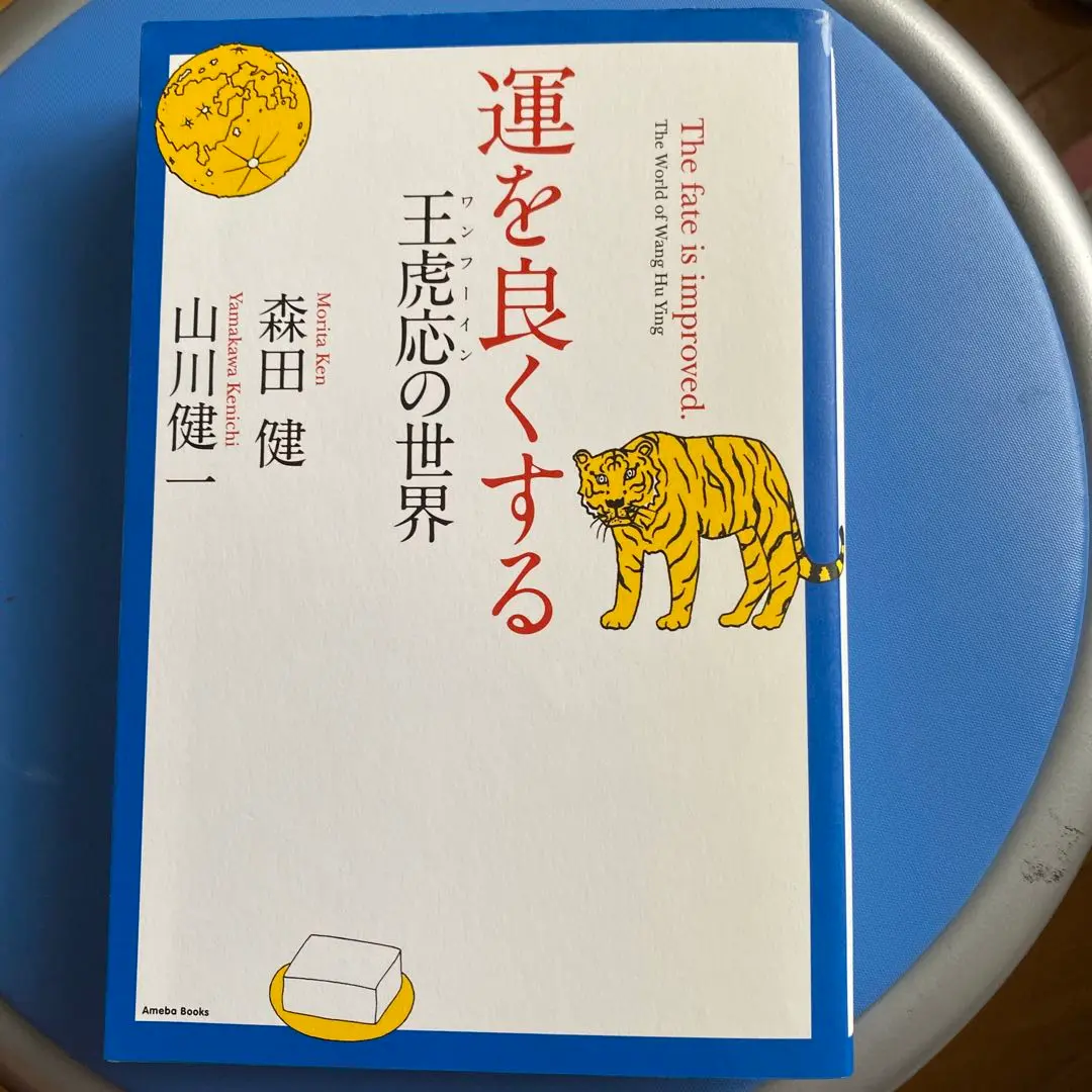 【希少】外応テキスト 王虎応 森田健 不思議研究所 希少】外応テキスト 王虎応 森田健 不思議研究所