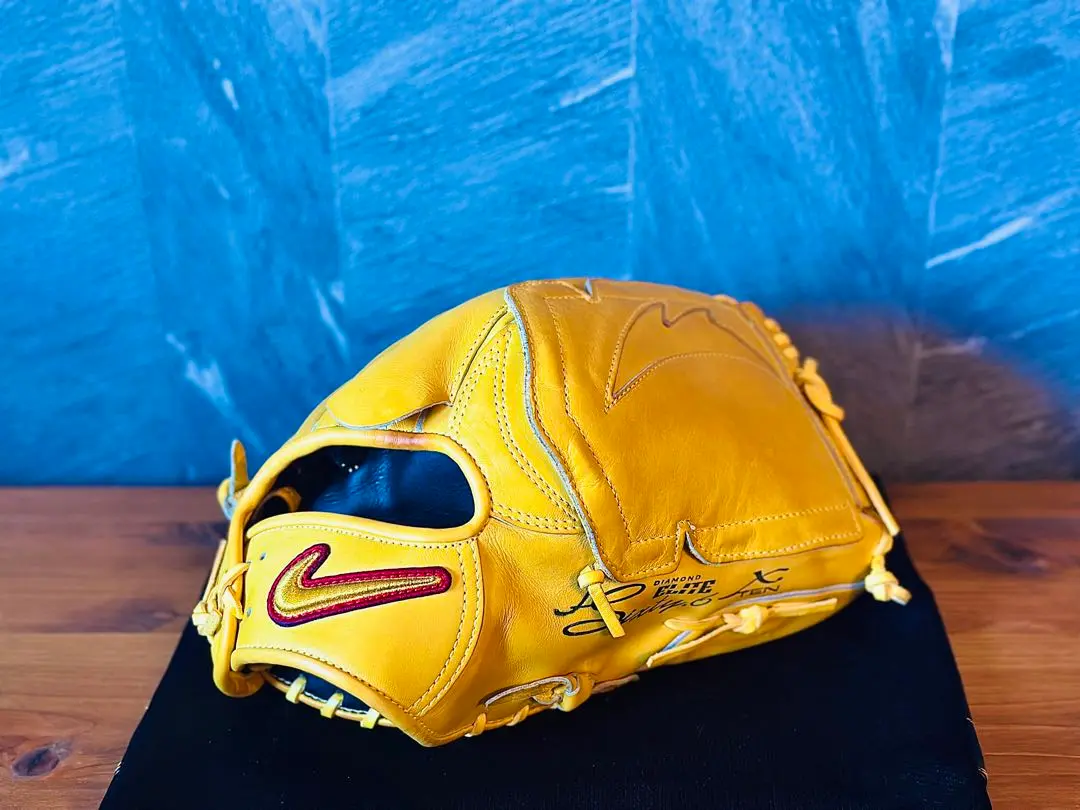 T*様 NIKE VAPOR CUSTOMORDER硬式グローブ 投手用 収納袋 re-birth-baseball_we1036