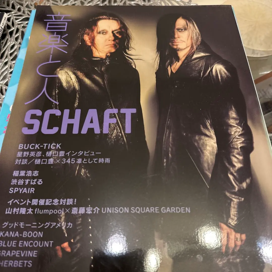 SCHAFT/ARCHIVES 2016 TOUR DVD 今井寿/藤井麻輝 SCHAFT/ARCHIVES 2016 TOUR DVD 今井寿/藤井麻輝