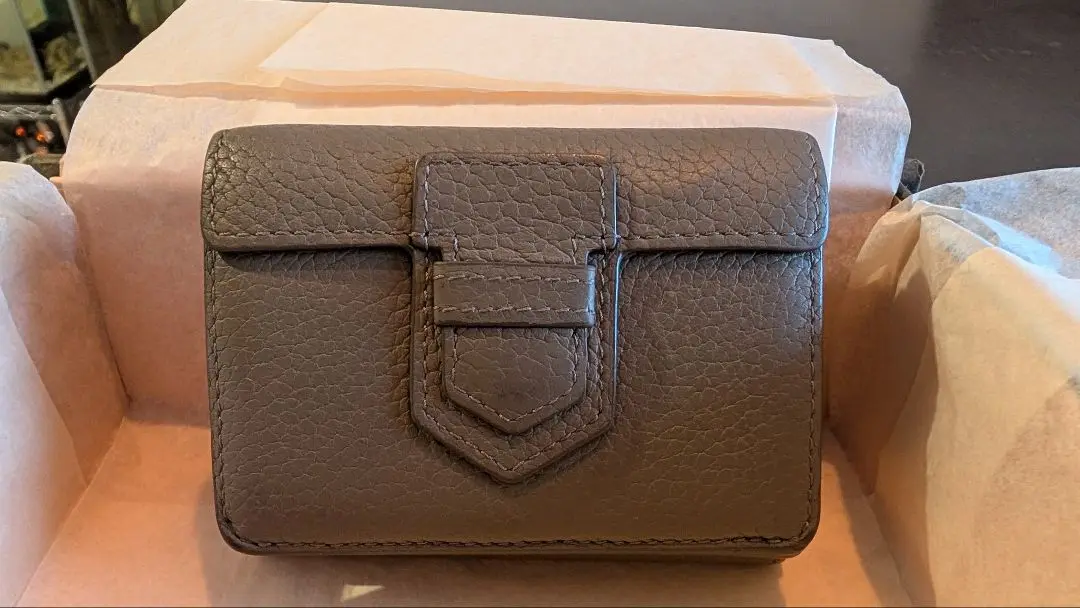 本日限定値下げ中【入手困難】DELVAUX デルヴォー 三つ折り財布 本日限定値下げ中【入手困難】DELVAUX デルヴォー 三つ折り財布