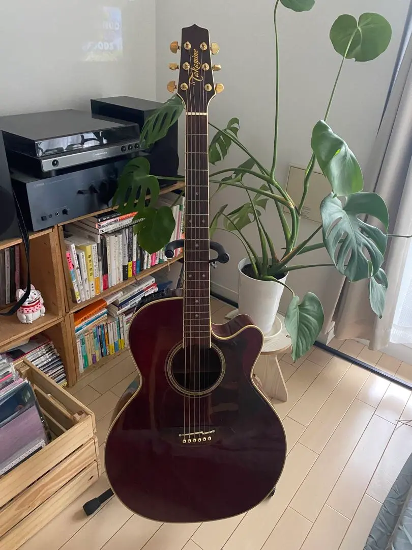 2025年最新】takamine tdpの人気アイテム - メルカリ
