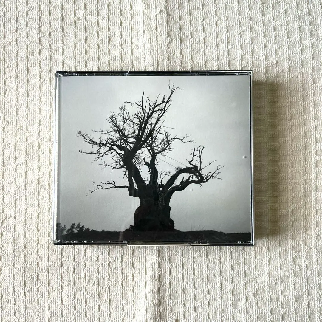 2025年最新】セカオワ グッズ ライトの人気アイテム - メルカリ