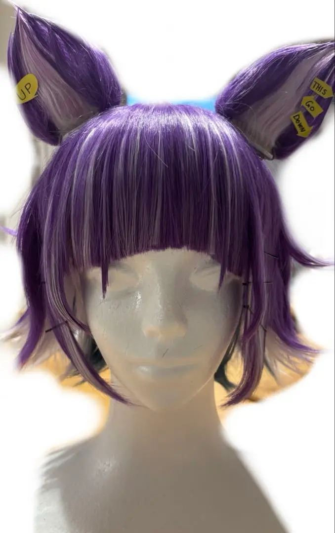 【年末限定価格】ツイステ チェーニャ ウィッグ 猫耳 年末限定価格】ツイステ チェーニャ ウィッグ 猫耳 ウィッグ