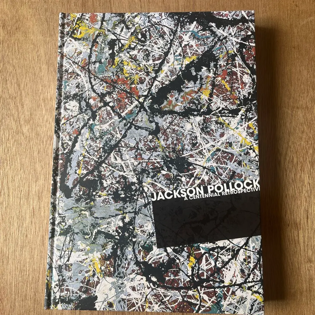 生誕100年 ジャクソンポロック展 2011-2012 図録 生誕100年 ジャクソン・ポロック展 JACKSON POLLOCK [図録