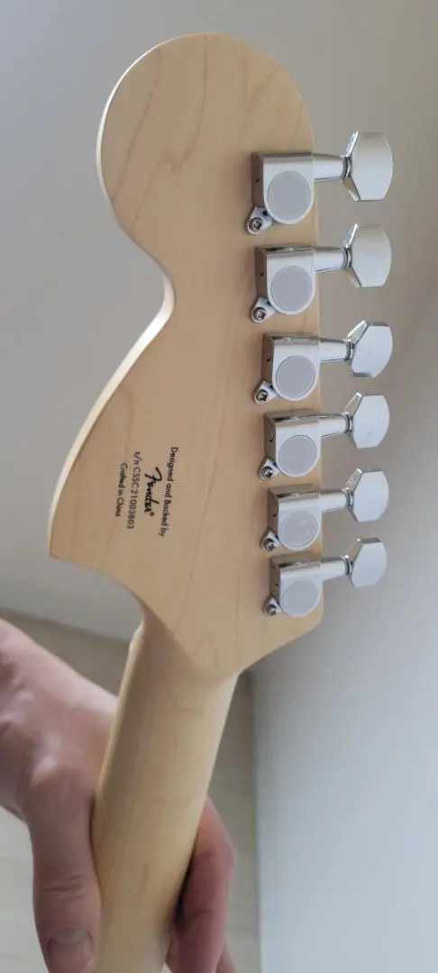 2025年最新】Squier Silver seriesの人気アイテム - メルカリ