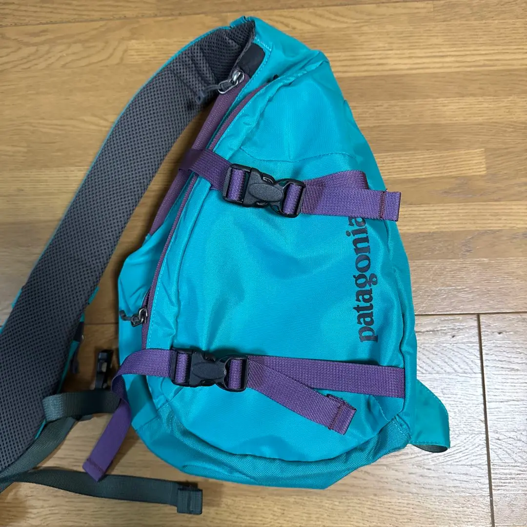 廃盤レア】patagoniaパタゴニア アトム ショルダーバッグ 梨花