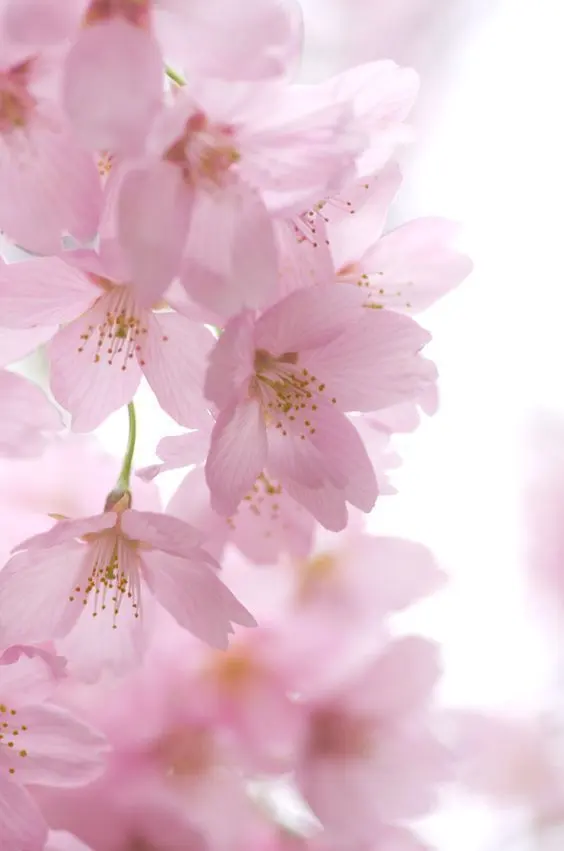 2025年最新】三浦春馬 サイン 直筆の人気アイテム - メルカリ