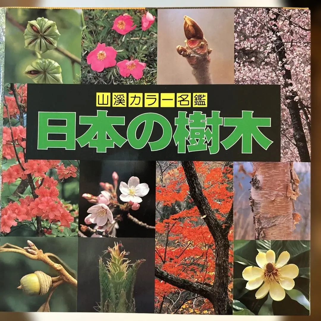 増補改定新版　日本の樹木 Amazon.co.jp: 増補改訂新版 日本の樹木 (山溪カラー名鑑) : 編