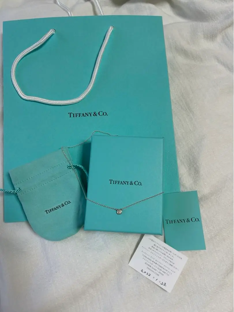 Tiffany & Co. バイ ザ ヤード シングル ダイヤモンド ペンダント ダイヤモンド バイ ザ ヤード™ シングル ダイヤモンド