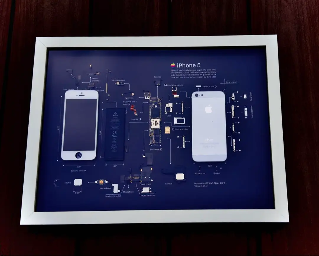 iPhone4 標本アート ホワイト フレーム無】iPhone 4 White 標本アート (A4サイズ)｜Yahoo