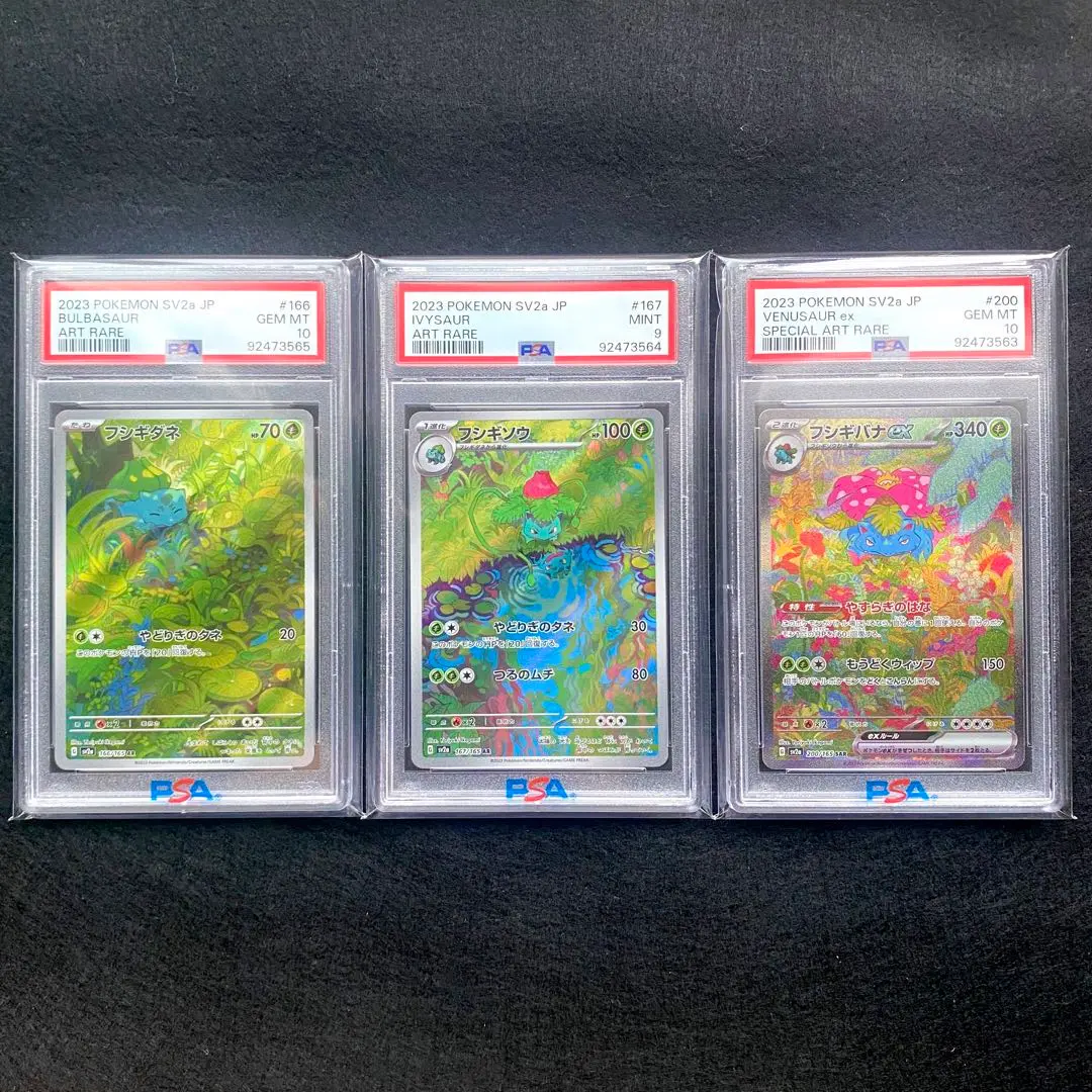 2025年最新】フシギダネ 旧裏 psa10の人気アイテム - メルカリ