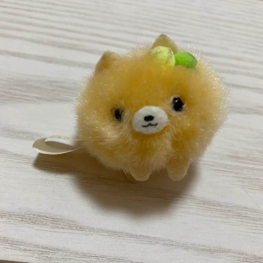 ポメたん マスコットぬいぐるみ キーホルダー まとめ売り セット