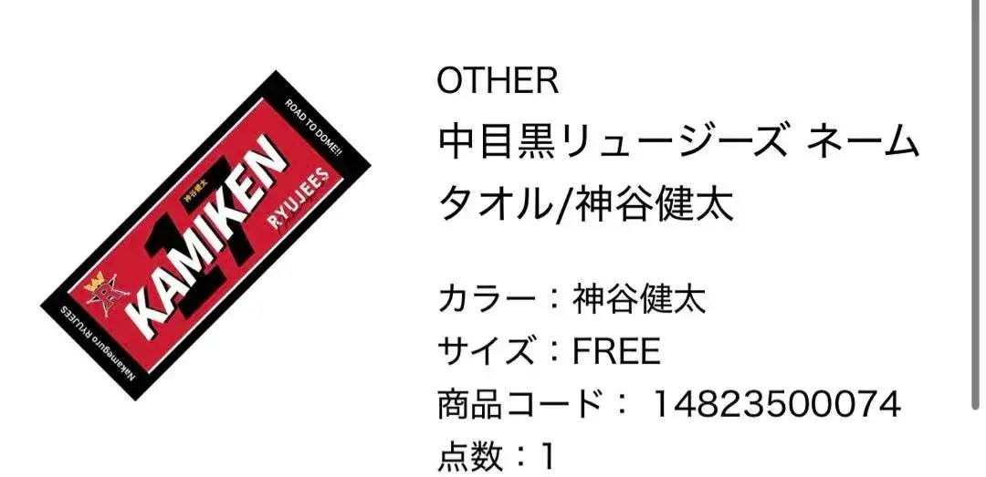 今市隆二監督 リュージーズ 応援タオル 2枚セット新品未使用 今市隆二『中目黒リュージーズ』応援グッズ ユニフォーム