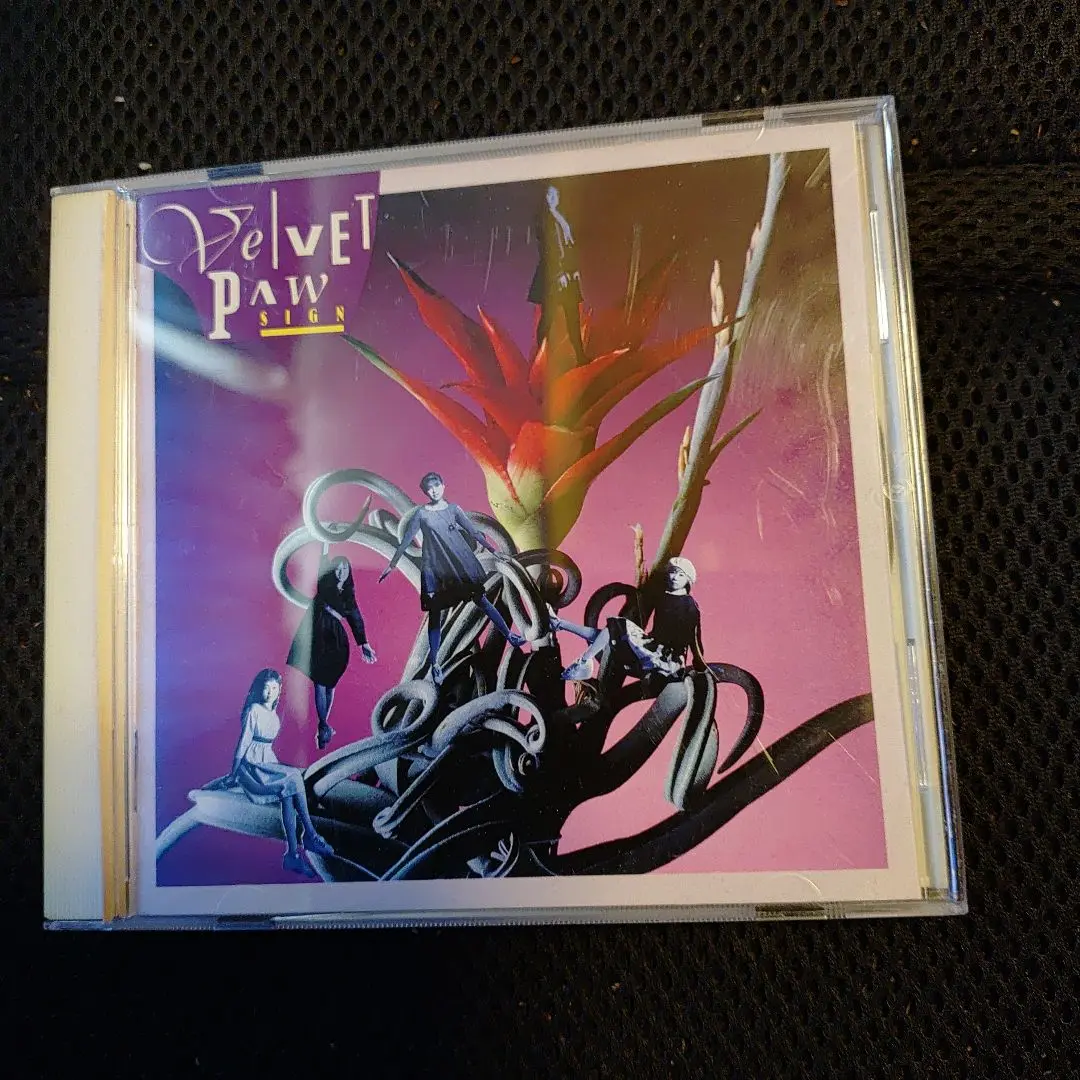 2025年最新】velvet paw cdの人気アイテム - メルカリ