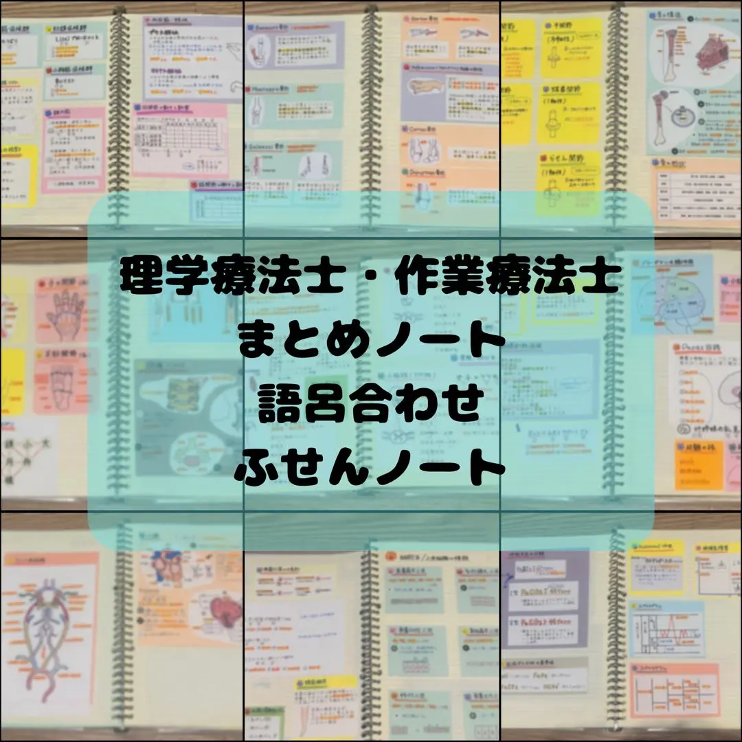 理学療法士 作業療法士 まとめノート、ふせんノート 【コピー】 理学療法士 作業療法士 まとめノート、ふせんノート 【コピー