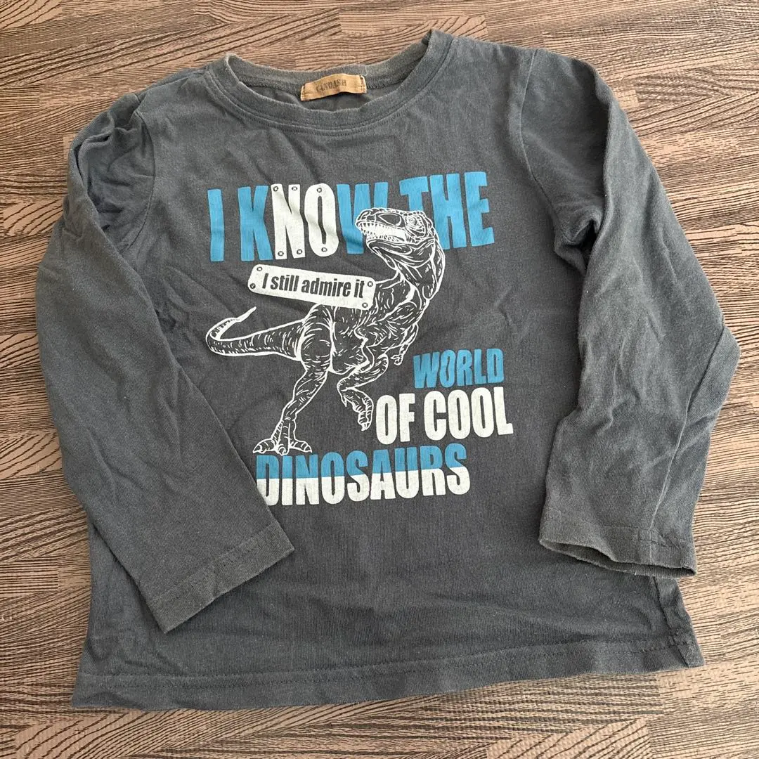 Thumbnail of Dinosaur Long Sleeve T-shirt 110cm