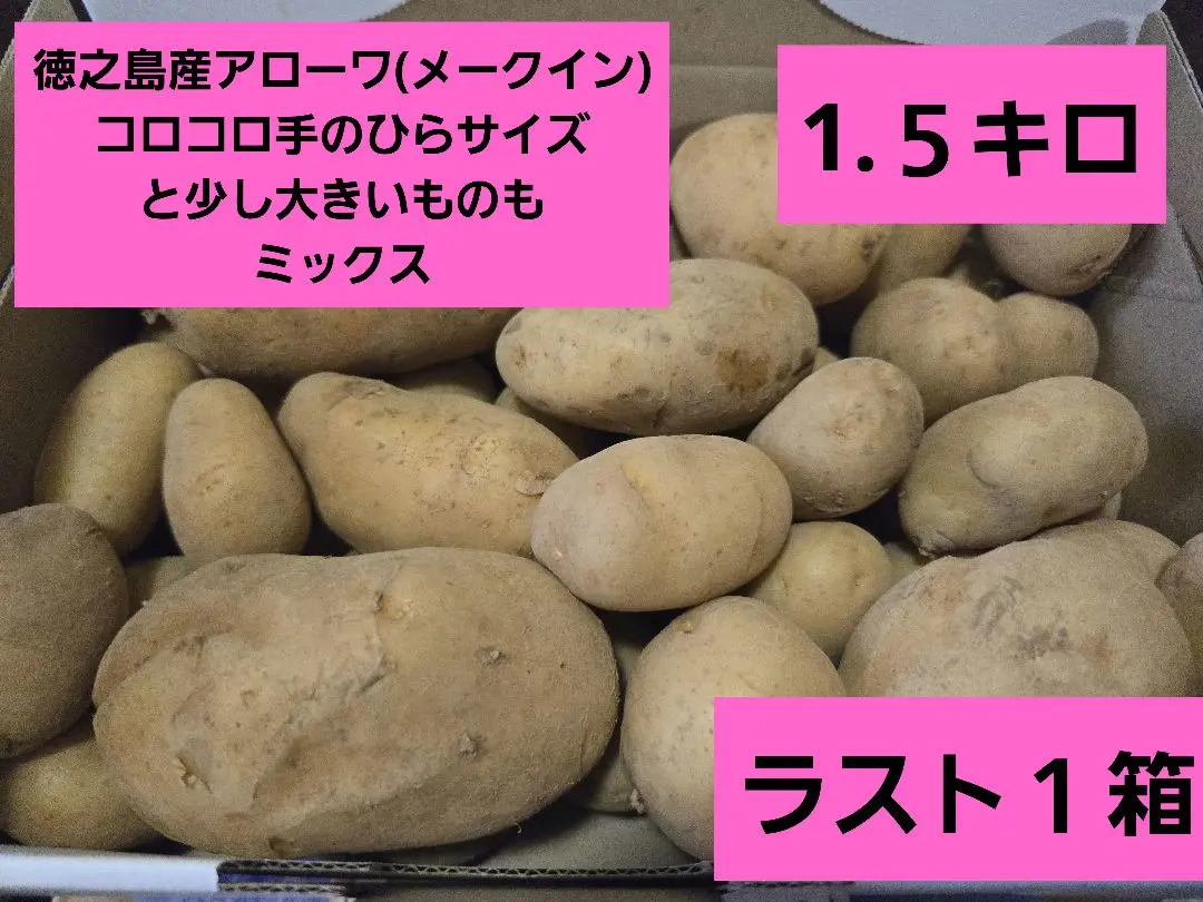 はるページ　コロコロ新じゃが小玉サイズ20キロ 掘りたて】種子島産 新じゃがいも 2S・S・Mサイズ 20kg(箱別