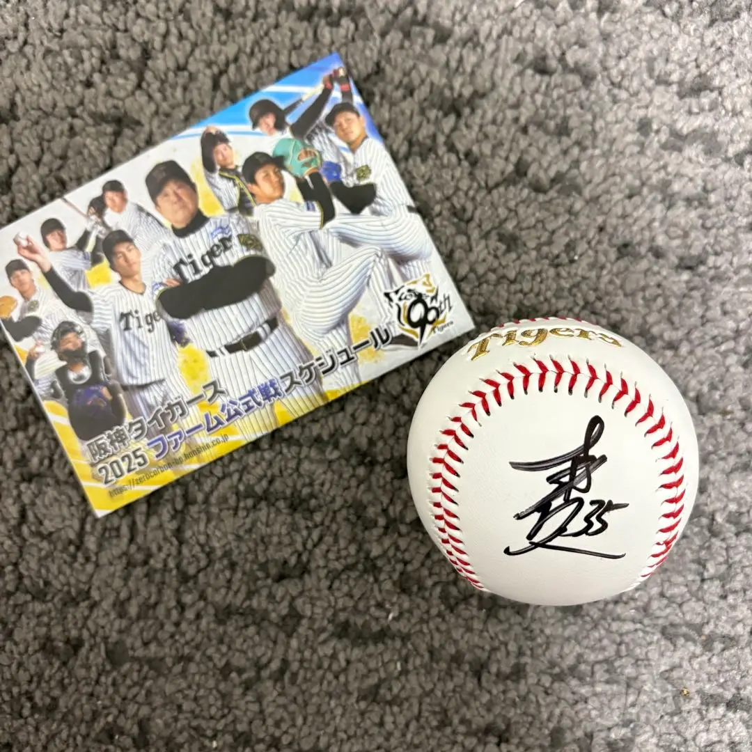 阪神タイガース 才木浩人選手♯35 直筆サインボール キャンプロゴボール 阪神タイガース - 阪神タイガース 才木浩人 35 直筆サインボール