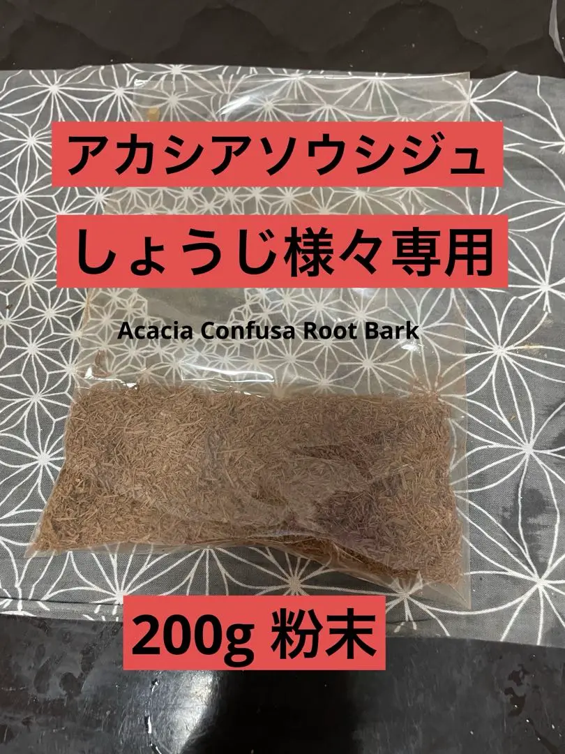 2025年最新】acacia confusaの人気アイテム - メルカリ