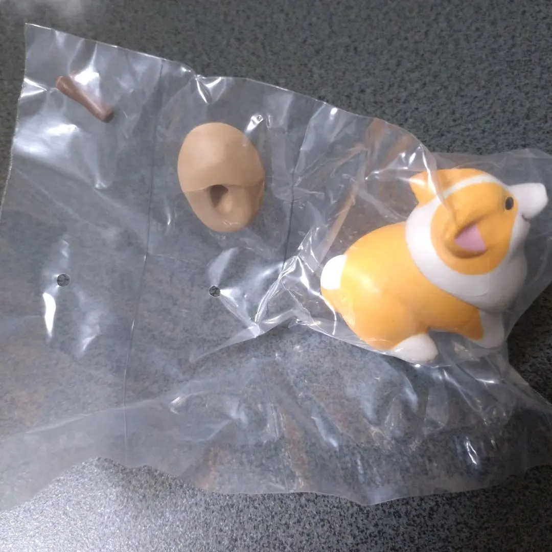 Thumbnail of Corgi Stroll: Corgi (Red) Contentedly Burying a Stick