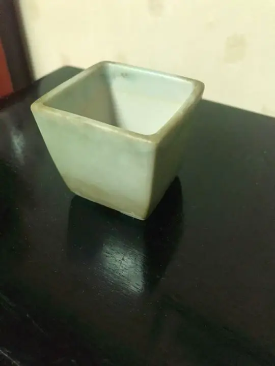 【寿悦】ミニ盆栽鉢/植木鉢/木箱付き 楽天市場】ミニ盆栽 睡蓮木 受け皿付き ミニミニ盆栽 花
