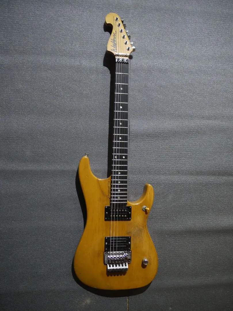 2025年最新】washburn n4の人気アイテム - メルカリ