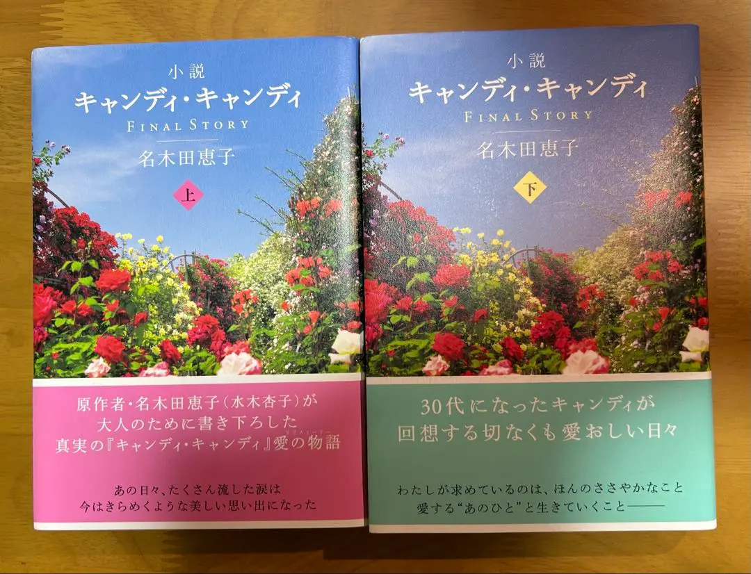 帯付き小説キャンディ▪キャンディFINALSTORY上下巻 　♦即購入の方優先♦ Amazon.co.jp: 小説キャンディ・キャンディ FINALSTORY （下