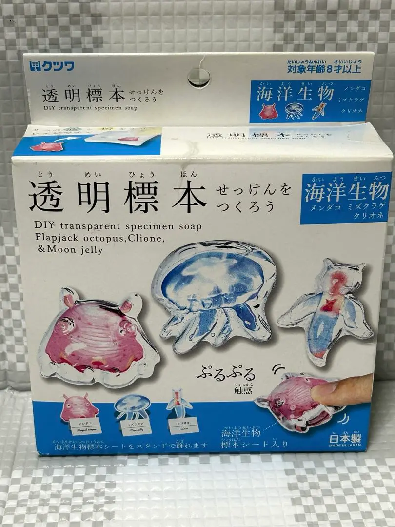 限定販売☆オリジナル商品【透明標本作製キット】全17点 - メルカリ