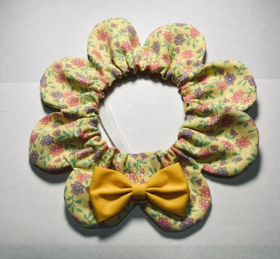 Thumbnail of Xavier, for kittens, child-6