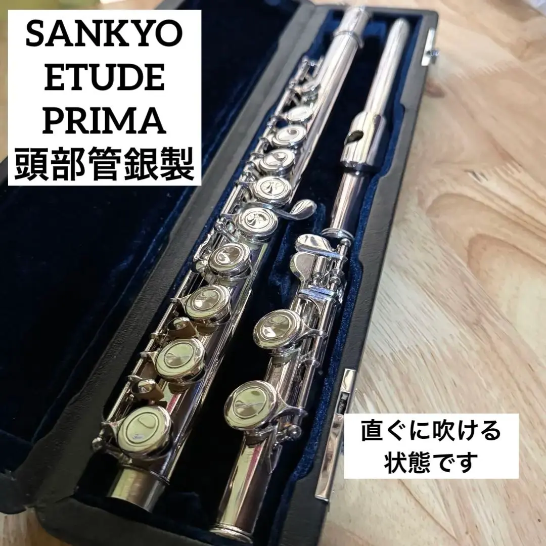 ★お値下げしましたー！★パウエル_フルートケース パウエル フルートケースカバー | ドルチェ楽器