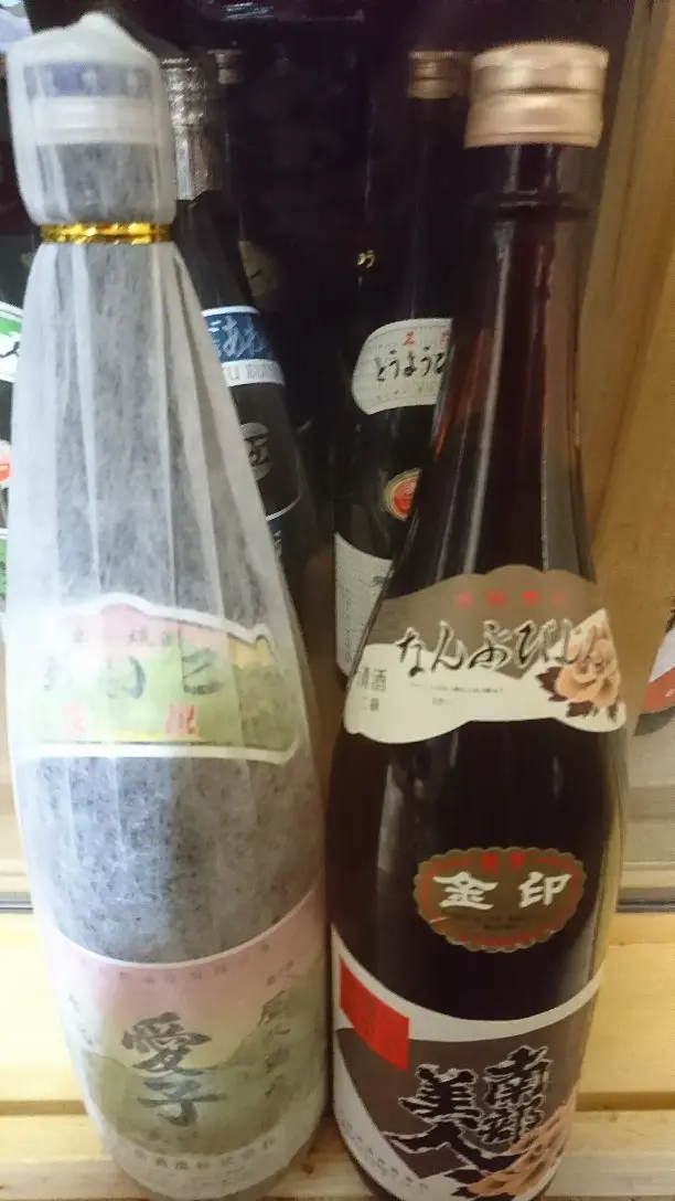 森伊蔵 新品 お花見にいかがですか?