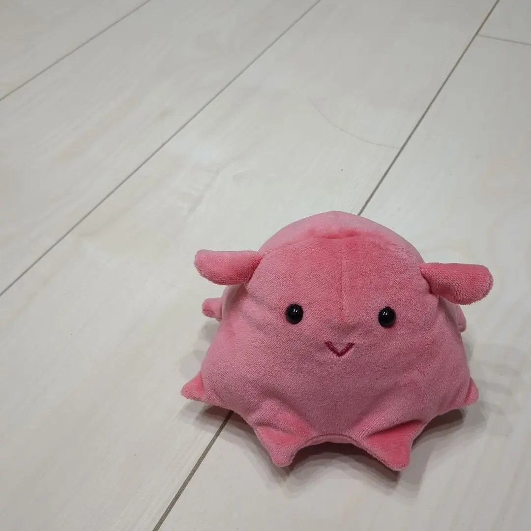 Thumbnail of Dumbo octopus plushie